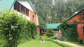 Guest House Dom S Bilyardom, Ganusovo